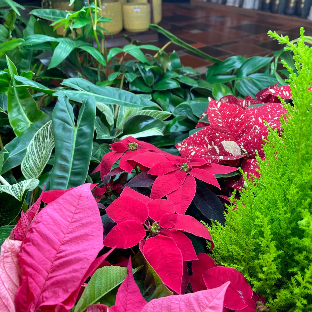 MOD GEN – A Modern General Store